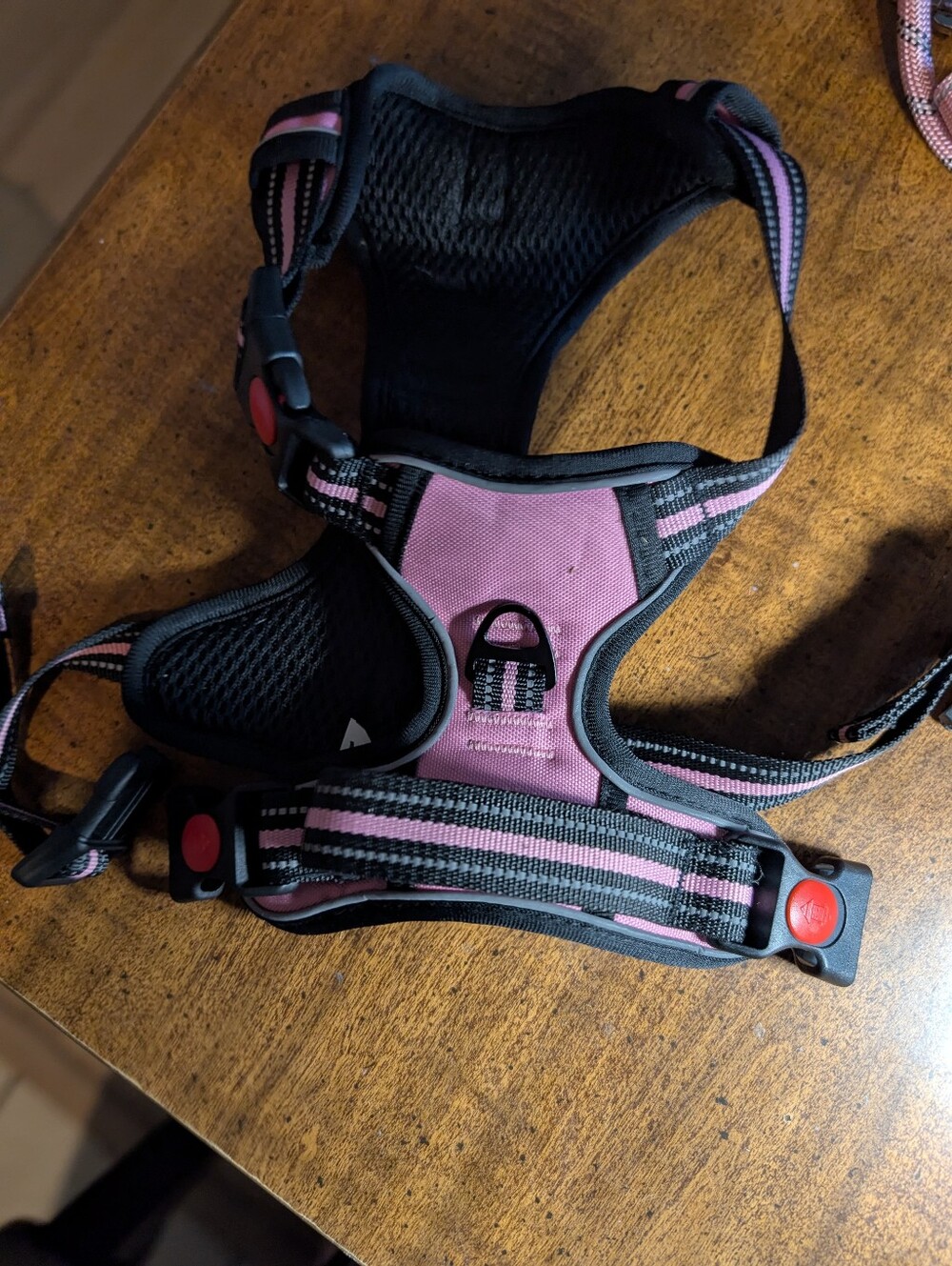 Adjustable Pink and Black Padded Dog Harness Set With Accessories